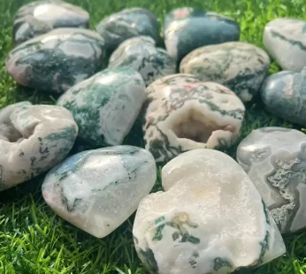 TREE AGATE