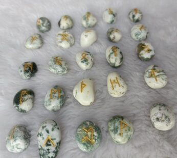 TREE AGATE ROON SET